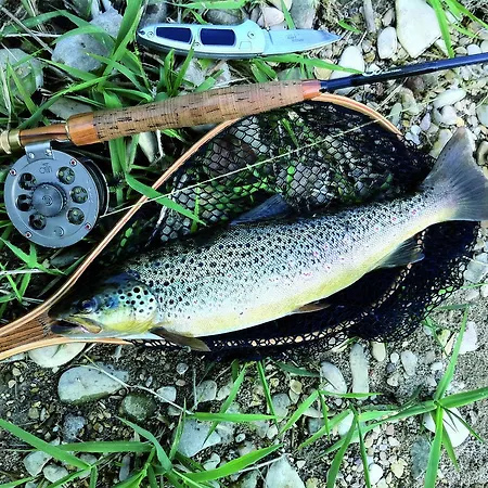 Bed & Breakfast Nickhof