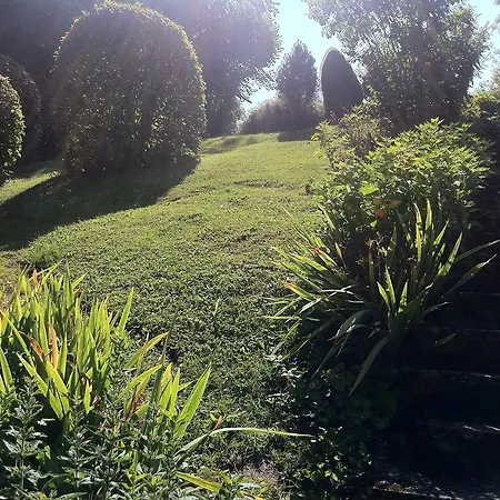 Bed & Breakfast Nickhof 3*