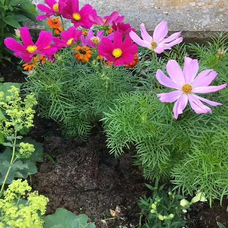 Bed & Breakfast Nickhof Inzigkofen