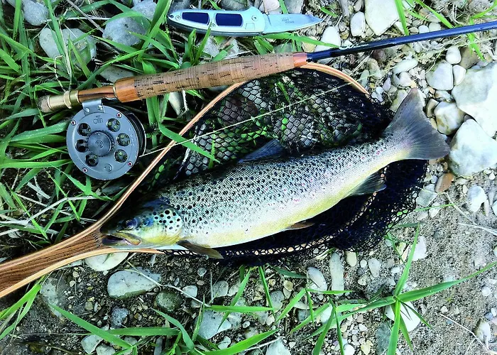 住宿加早餐酒店 尼克霍夫度假住宿加早餐旅馆