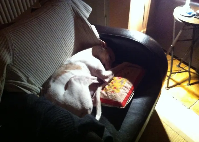 住宿加早餐酒店 尼克霍夫度假住宿加早餐旅馆 Inzigkofen