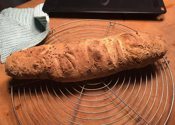 尼克霍夫度假住宿加早餐旅馆 住宿加早餐酒店