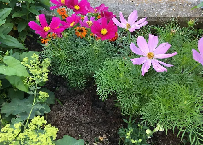 住宿加早餐酒店 尼克霍夫度假住宿加早餐旅馆 Inzigkofen