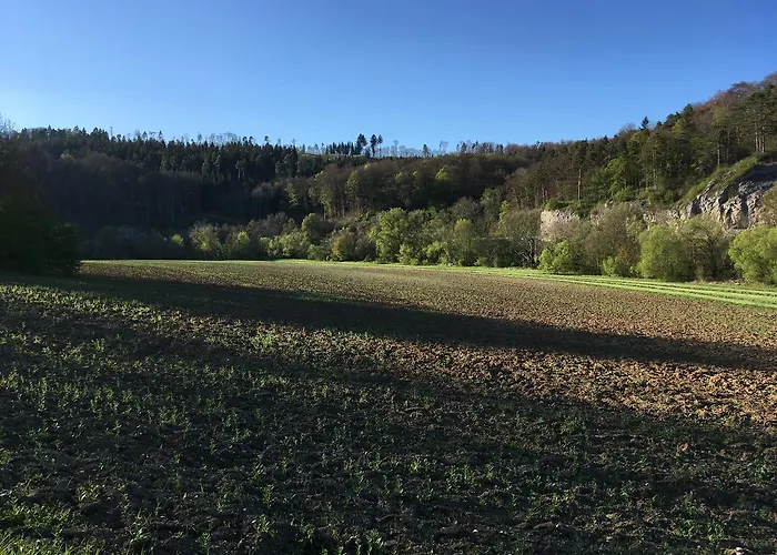 尼克霍夫度假住宿加早餐旅馆 3*