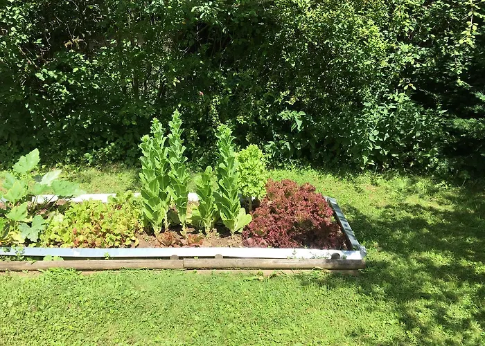 尼克霍夫度假住宿加早餐旅馆 住宿加早餐酒店 3*