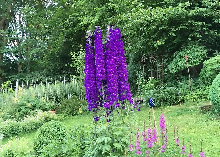 尼克霍夫度假住宿加早餐旅馆 3* Inzigkofen